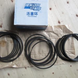 SP114255 W010505251 4110000556066 PISTON RING