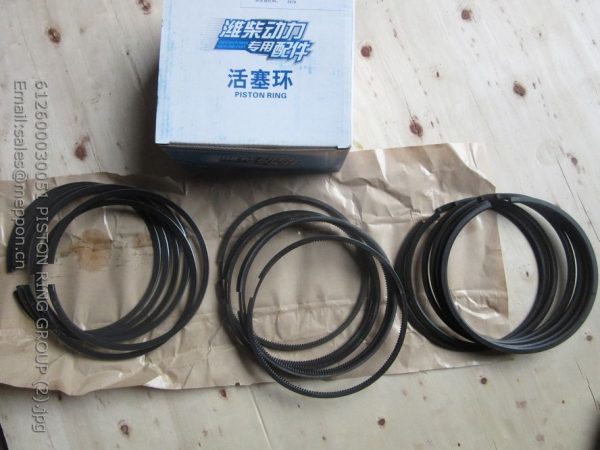 612600030051 PISTON RING GROUP