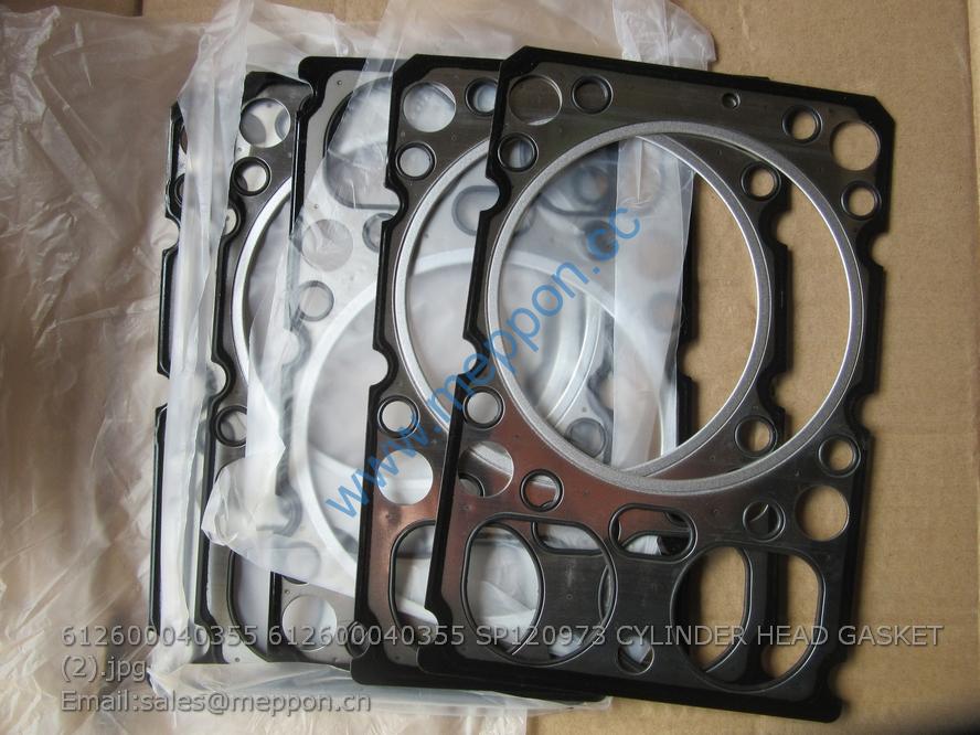 W010515080 head gasket