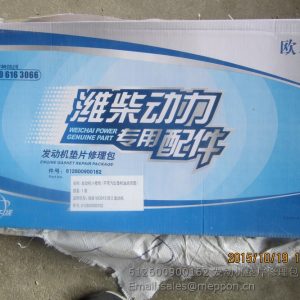 612600900162 ENGINE REPAIR KITS