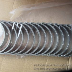 81500010046 MAIN BEARING