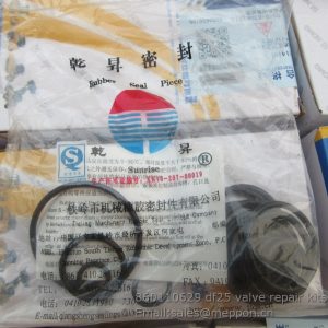 860110629 df25 valve repair kits