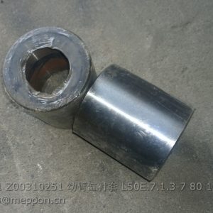 860113981 Z00310251 BUSHING ZL50E.7.1.3-7