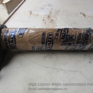 9F20-130600 9F850-16A050000A0 PIN