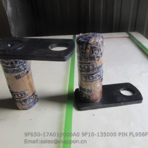 9F650-17A010000A0 9F10-135000 PIN FL956F