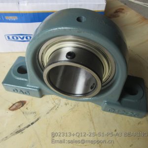 B02313+Q12-2S-S1-P5-A3 BEARING