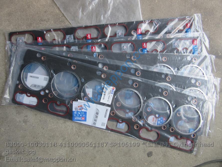 B3000-1003011B 4110000561187 SP106199 Cylinder head gasket