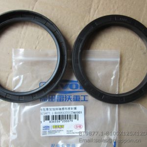 GBT9877.1-B100X125X12D seal ring foton lovol