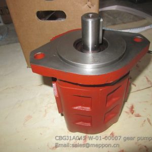 CBGJ1A045 W-01-00007 gear pump changlin