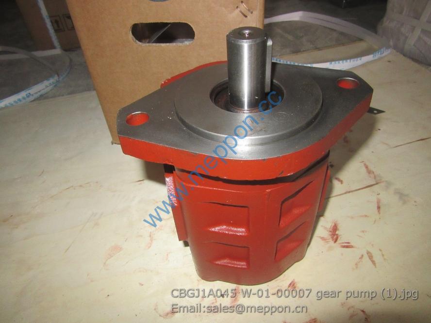 CBGJ1A045 W-01-00007 gear pump changlin