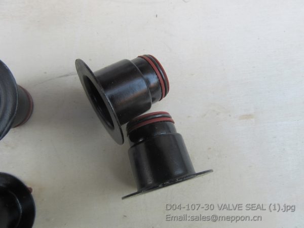 D04-107-30 VALVE SEAL
