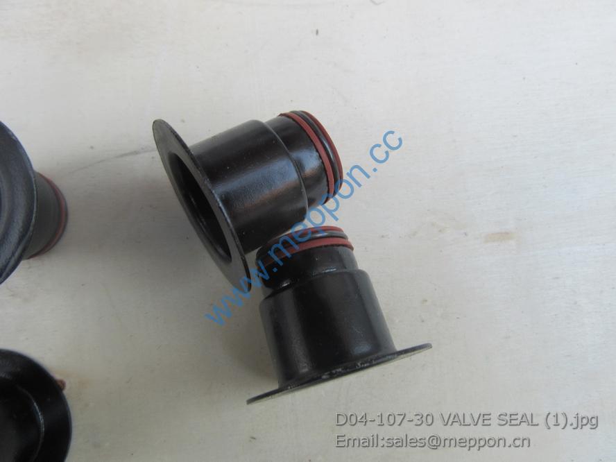 D04-107-30 VALVE SEAL