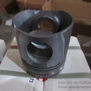D05-101-30 PISTON