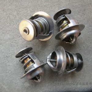 D22-102-05 thermostat