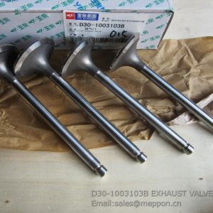 D30-1003103B EXHAUST VALVE 4110000561210 4110000560144 SP106429