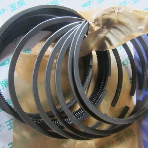 J3200-1004016 PISTON RING SP122659 4110001194038