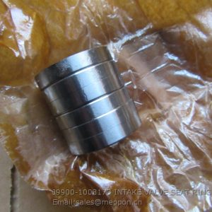 J9900-1003173 INTAKE VALVE SEAT RING 4110001953002