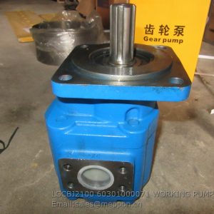 LGCBJ2100 60301000071 WORKING PUMP LONKING