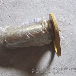 Z3.8.5 250100212 9301317 PIN XCMG