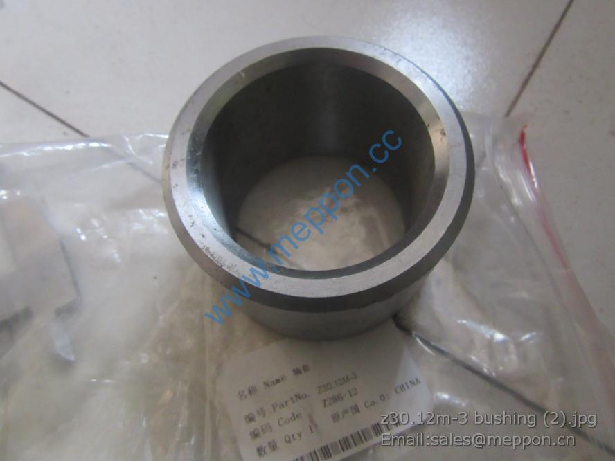 z30.12m-3 bushing CHANGLIN