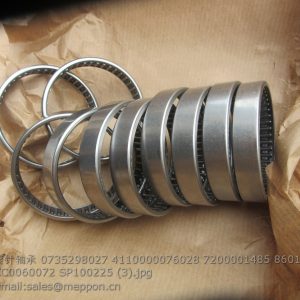 0735298027 4110000076028 7200001485 860116005 SP100225 BEARING