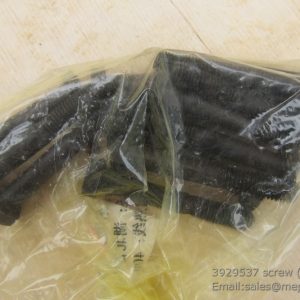 3929537 screw 4110000081189 SP108943