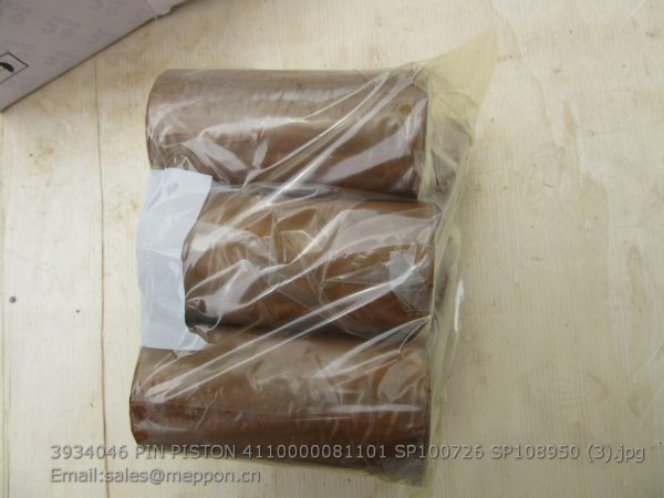 3934046 PIN PISTON 4110000081101 SP100726 SP108950