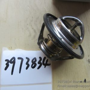 3973834 thermostat cummins