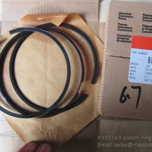 4955169 piston ring cummins