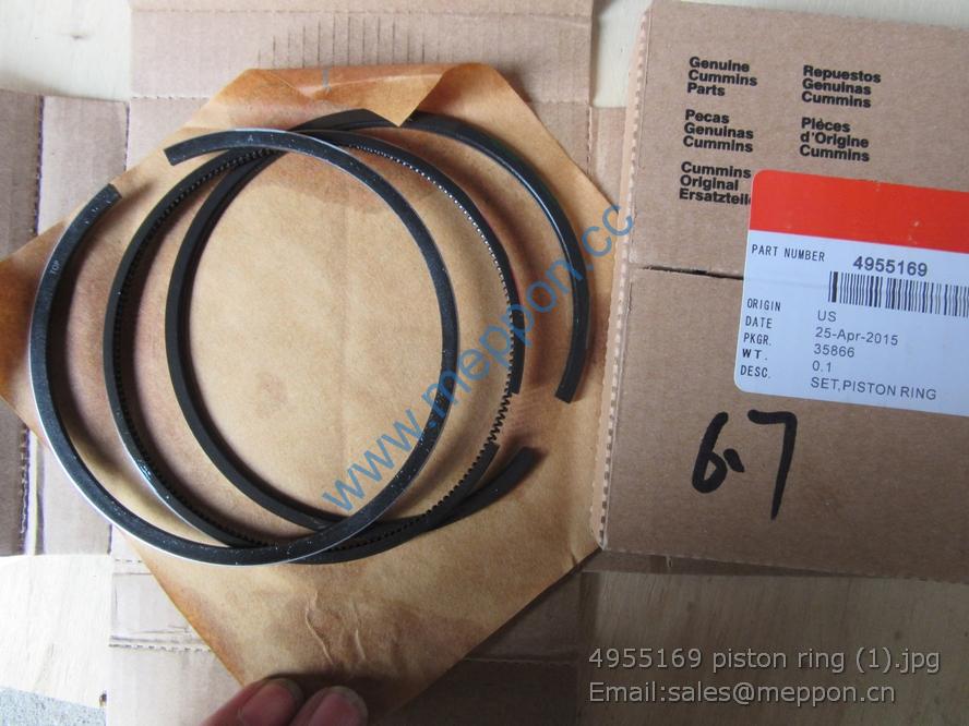 4955169 piston ring cummins