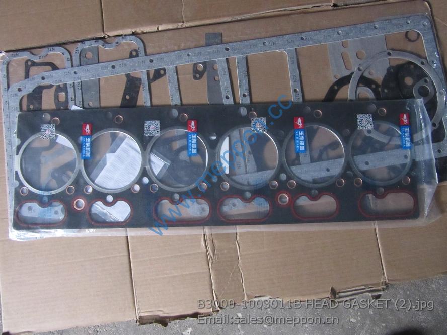 B3000-1003011B HEAD GASKET 4110000561187 SP106199