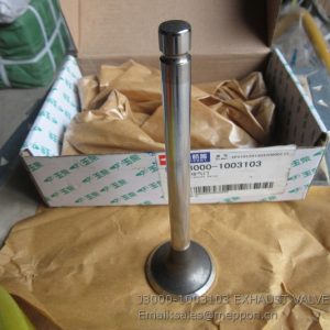 J3000-1003103 EXHAUST VALVE SP122695 4110001058041
