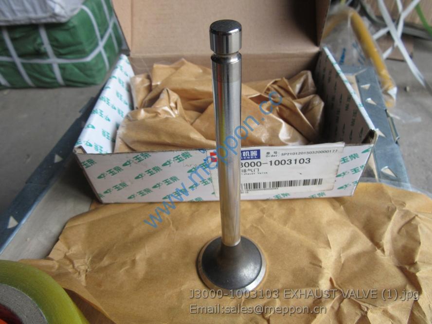 J3000-1003103 EXHAUST VALVE SP122695 4110001058041