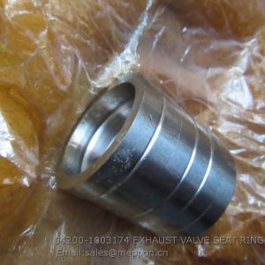 J4200-1003174 EXHAUST VALVE SEAT RING SP122656 4110001058060