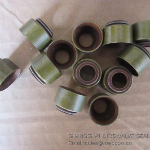 SHANGCHAI 6135 VALVE SEAL