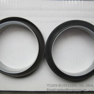 YC209-B100125PL OIL SEAL 4110000560341 SP106201
