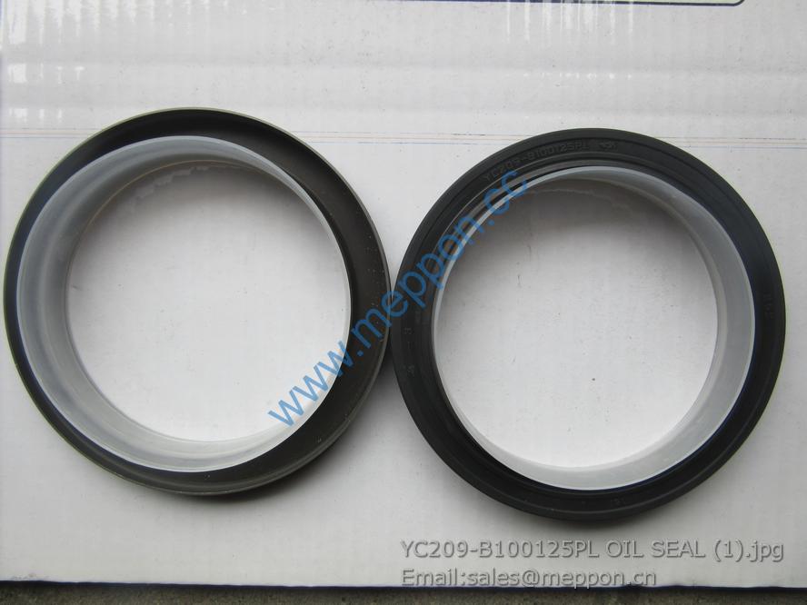 YC209-B100125PL OIL SEAL 4110000560341 SP106201