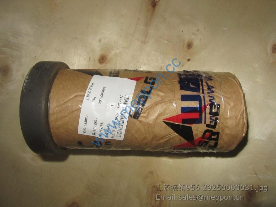 29250000031 SDLG PIN