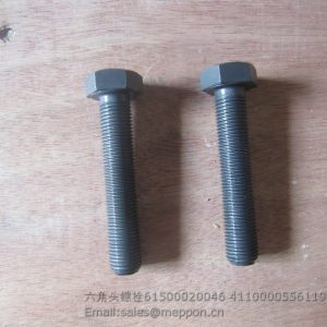 61500020046 4110000556119 weichai bolt
