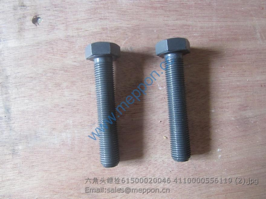 61500020046 4110000556119 weichai bolt