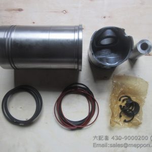 430-9000200 PISTON GROUP YUCHAI