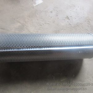 LG50F-1000x120-J LG855.13.09.05 60308000031 filter lonking