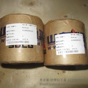 4120002063107 BUSHING SDLG