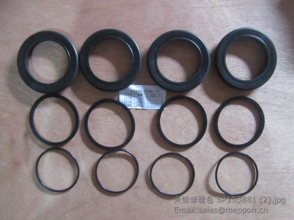SP103881 LIUGONG SERVICE KIT