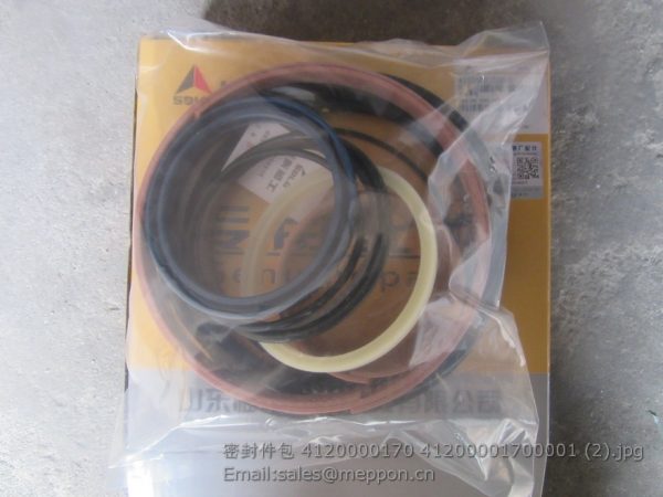 4120000170 4120000170001 SEAL RING KIT