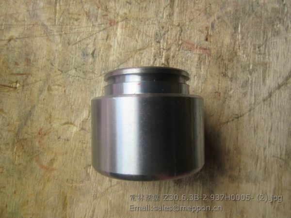 Z30.6.3B-2 brake piston changlin