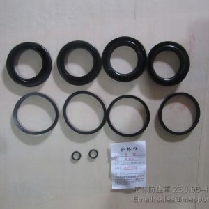 Z30.6.3B-1 B-Q020710-00028 Z30.6.3B-11 Z30.6.3B-4 changlin caliper kits