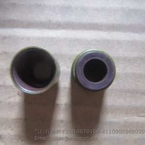 430-1007016A 4110000560030 valve seal