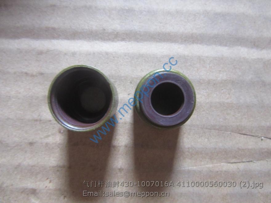 430-1007016A 4110000560030 valve seal