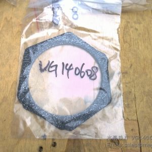 VG140608 W47004258 water pump gasket